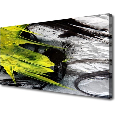Obraz Canvas Abstrakcia umenie 100x50 cm