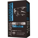 MAXIMA bestier Tribulus 60 kapslí