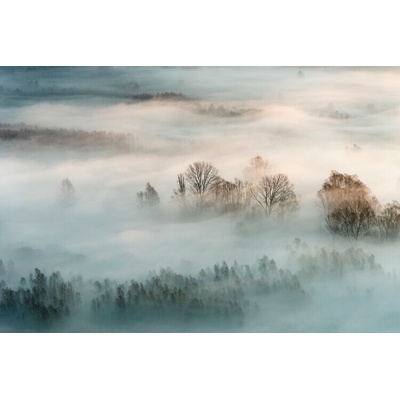 Plagát, Obraz - Winter fog, Marco Galimberti, 40 × 26.7 cm