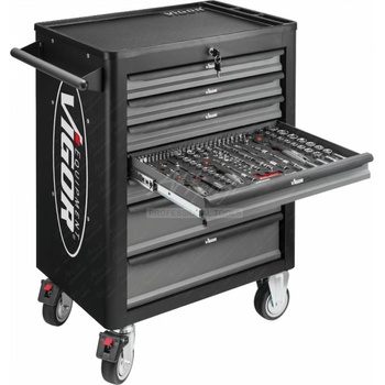 VIGOR V4219