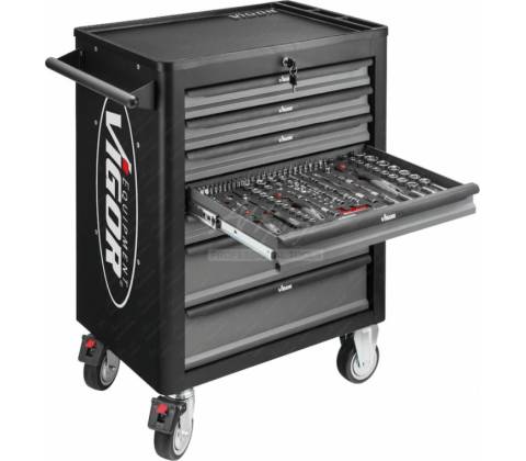 VIGOR V4219