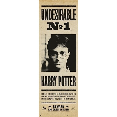 Plagát, Obraz - Harry Potter - Undersirable no. 1, 53 × 158 cm