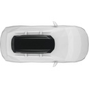 Thule Pulse 2 L
