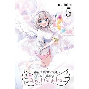 STUDIO APARTMENT GOOD LIGHTING ANGEL V05 (ISBN: 9781975387839)
