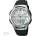 Casio AQ-180W-7BVES