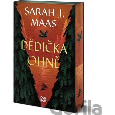Dědička ohně - Sarah J. Maas