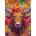 Enjoy - Puzzle Ferdinand - 1 000 piese
