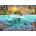 Ravensburger - Puzzle The underwater island - 1 000 piese