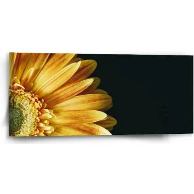 Sablio Obraz žlutá gerbera - 110x50 cm