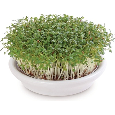 Eschenfelder miska na klíčení obilovin 12 cm bílá – Zboží Dáma