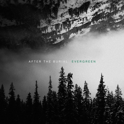 AFTER THE BURIAL - EVERGREEN LP
