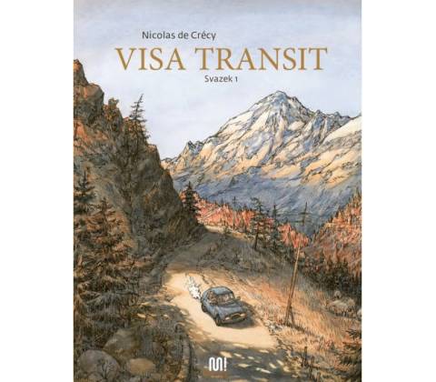 Visa transit