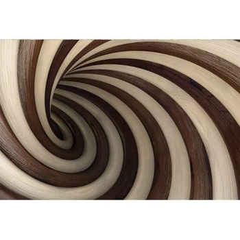 DIMEX ART s. r. o Флизелинов фототапет 3d усукан тунел 375 x 250 см