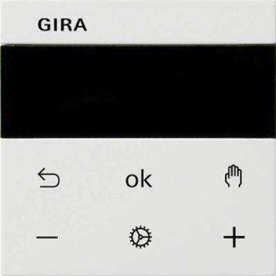 GIRA 539327