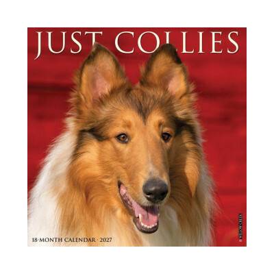 Collies 12 X 12 Wall 2027