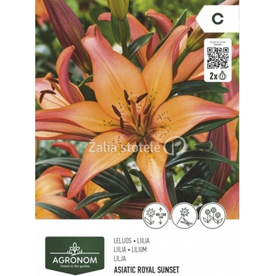 Seklos Лилиум Азиатски роял сънсет - 2 бр луковица