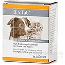 Alfavet Dia Tab žuvacie tbl. 6 x 5, 5 g