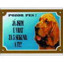 Dafiko Tabulka Bladhaund