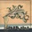 Arcade Fire - Funeral (Reissue) LP
