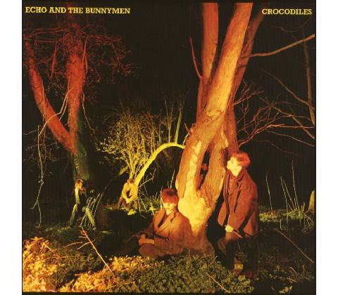ECHO & THE BUNNYMEN - CROCODILES LP
