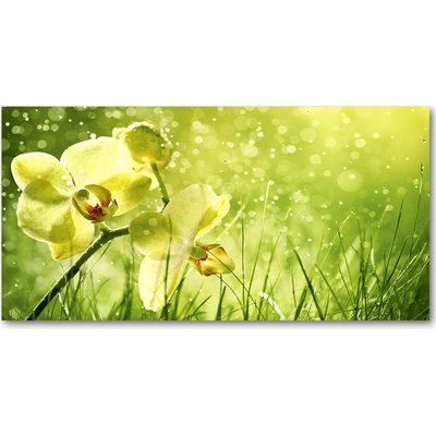 Foto obraz sklenený horizontálny orchidea 100x50 cm