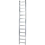 Bisonte STR111 11 step (BT1006295)