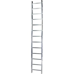 Bisonte STR111 11 step (BT1006295)