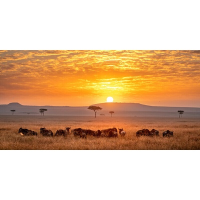 Plagát, Obraz - Sunrise, Hung tsui, 40 × 20 cm