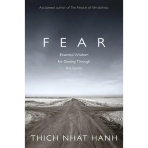 Fear | Thich Nhat Hanh (2012)