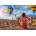 Castorland - Puzzle Admiration of colors - 1 500 piese