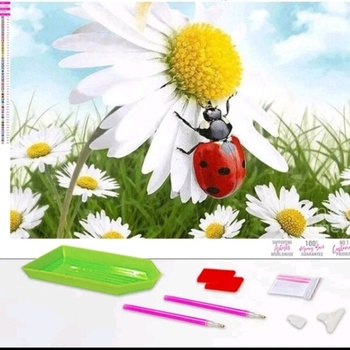 Image 1 of Калинка и маргаритка 35/25 см