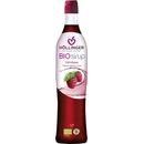 Šťavy a sirupy Hollinger Sirup Malina Bio 0,5 l