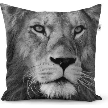 Sablio vankúš Lev 2 50x50