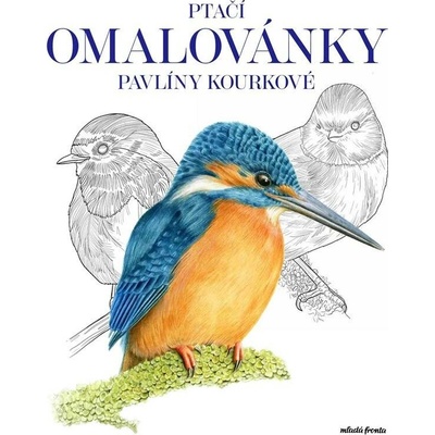 Ptačí omalovánky Pavlíny Kourkové