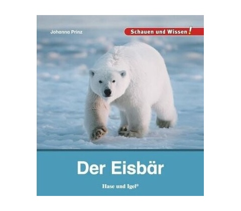 Der Eisbär