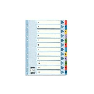 Esselte Mylar - kartonový rozlišovač - 12 listů, se štítky 1-12 100162 A4