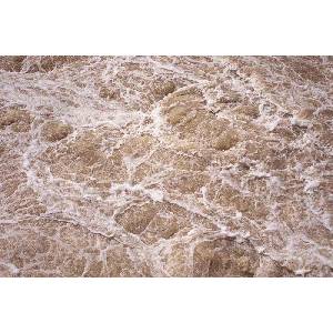 DIMEX ART Флизелинов фототапет бурна морска вода 375 x 250 см