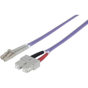 Intellinet 751049