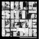 Bullshit Detector LP