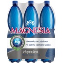 Magnesia Přírodní neperlivá multipack 6 x 1,5 l