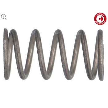 Пружина душ клапан ascaso