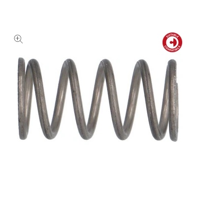 Пружина душ клапан ascaso