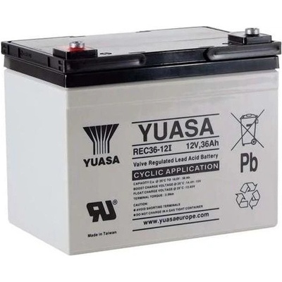 Yuasa REC36-12 36Ah 12V