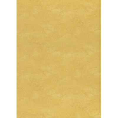 Breno Xtreme Roxanne 220M žluté 200 cm 1 m²