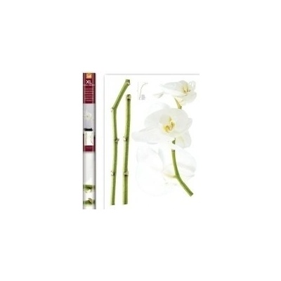 Samolepicí dekorace White Orchid 57714 / Samolepky na zeď Crearreda (70 x 100 cm)