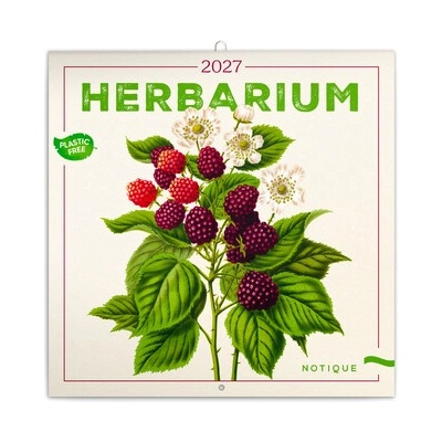 NOTIQUE Poznámkový Herbář PLASTIC FREE, 30 x 30 cm 2027