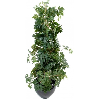 Luxusní umělý strom CISSUS ROSTLINA, 100 cm