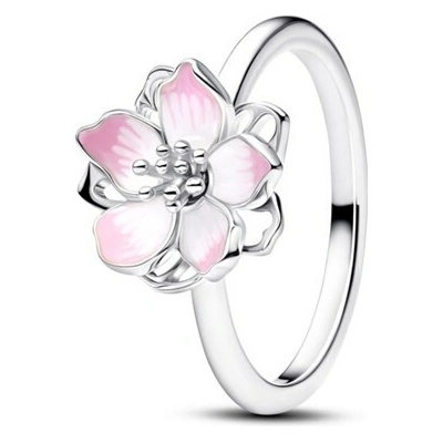 Pandora 194371C01 – Zboží Mobilmania