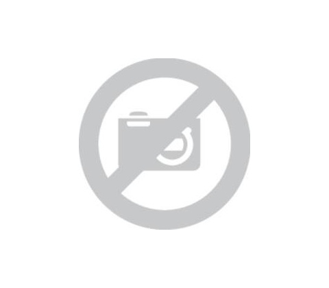 Logitech Wireless Mouse M171 910-004424