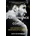 Performance Cortex - How Neuroscience is Redefining Athletic GeniusPaperback